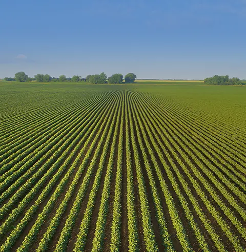 Sistema de riego agrícola moderno
